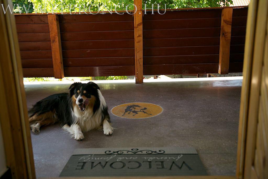 El Bronco Working Ranch Izsak Luaran gambar