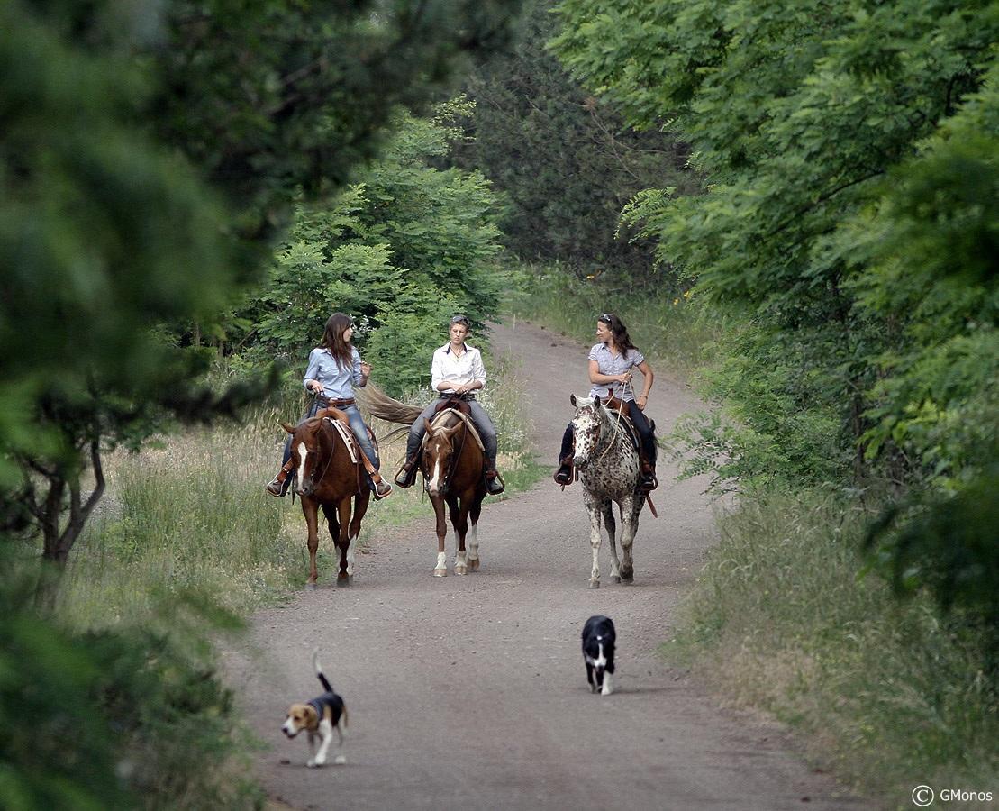 El Bronco Working Ranch Izsak Luaran gambar
